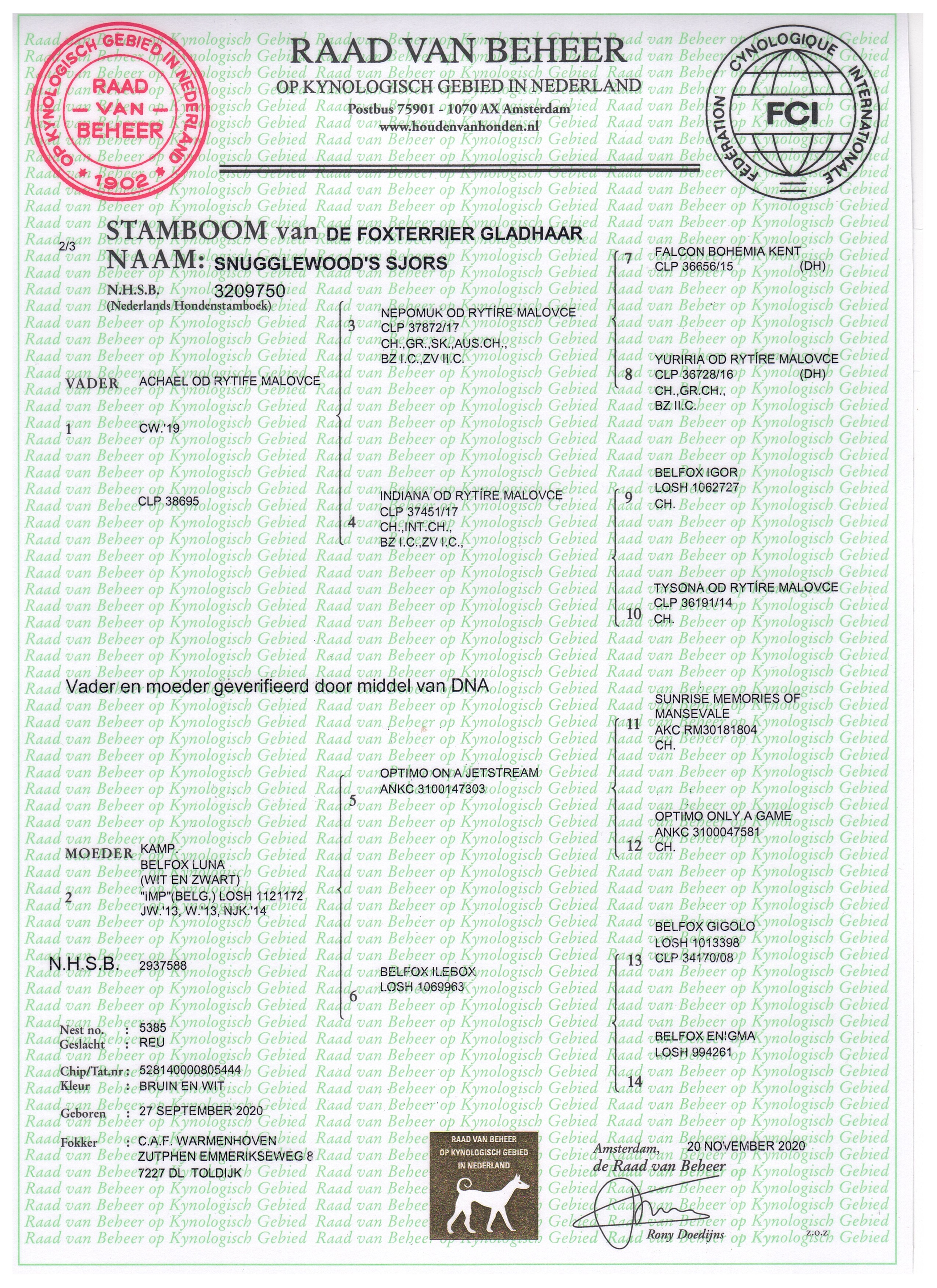 2025-04-27 AT VS Snugglewood's Sjors 001