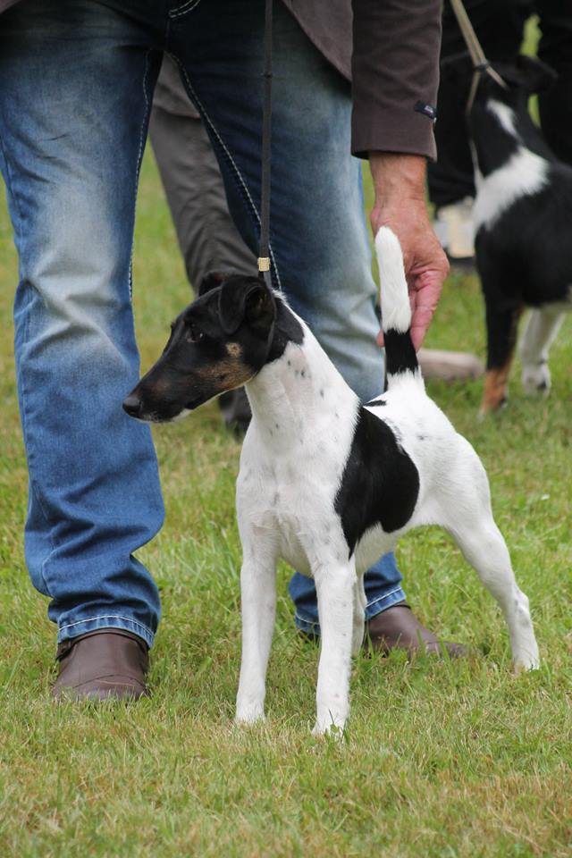 20258185_1614221055297438_321053597054982854_n