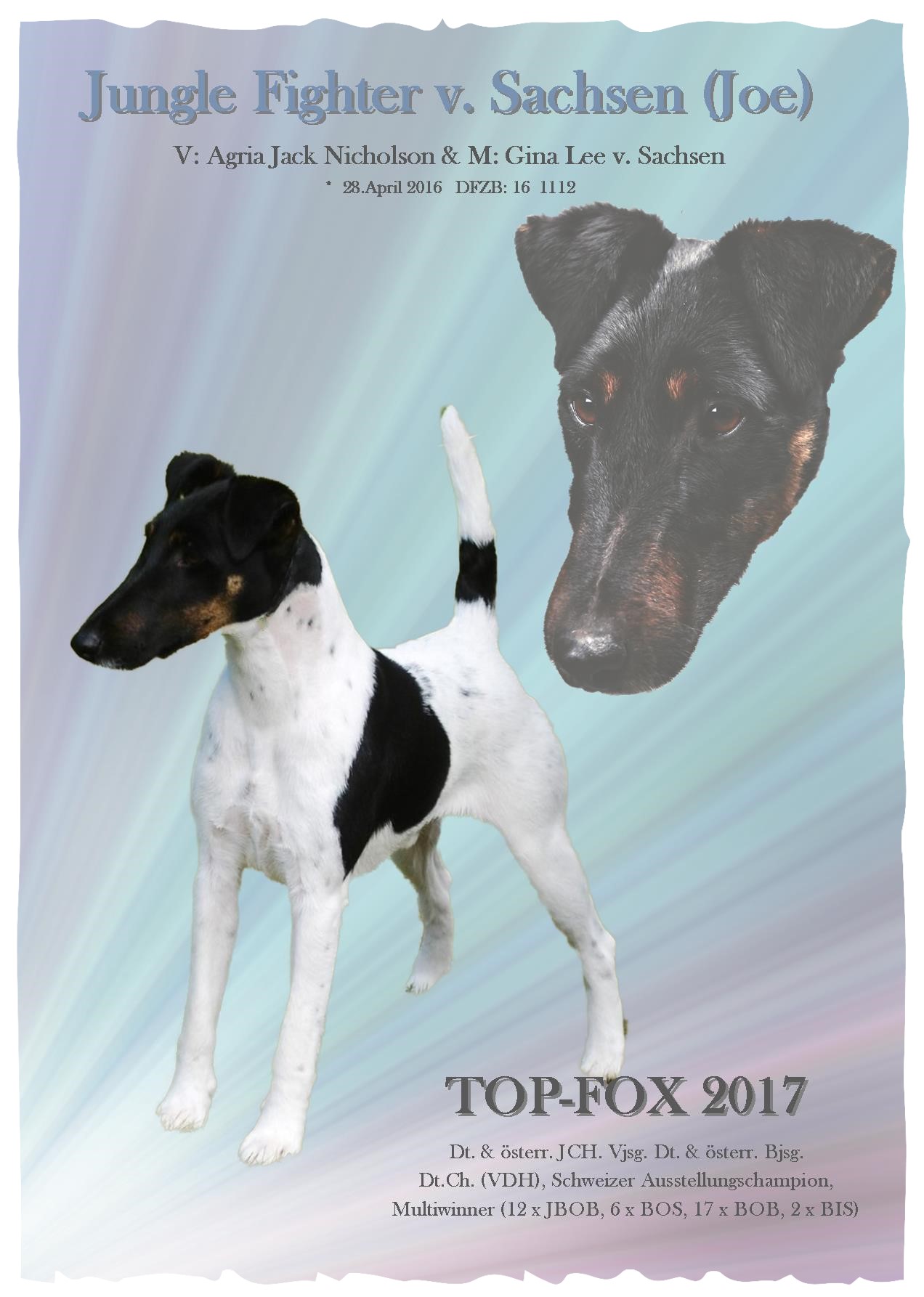 Anzeige Joe TOP-FOX-6_InPixio