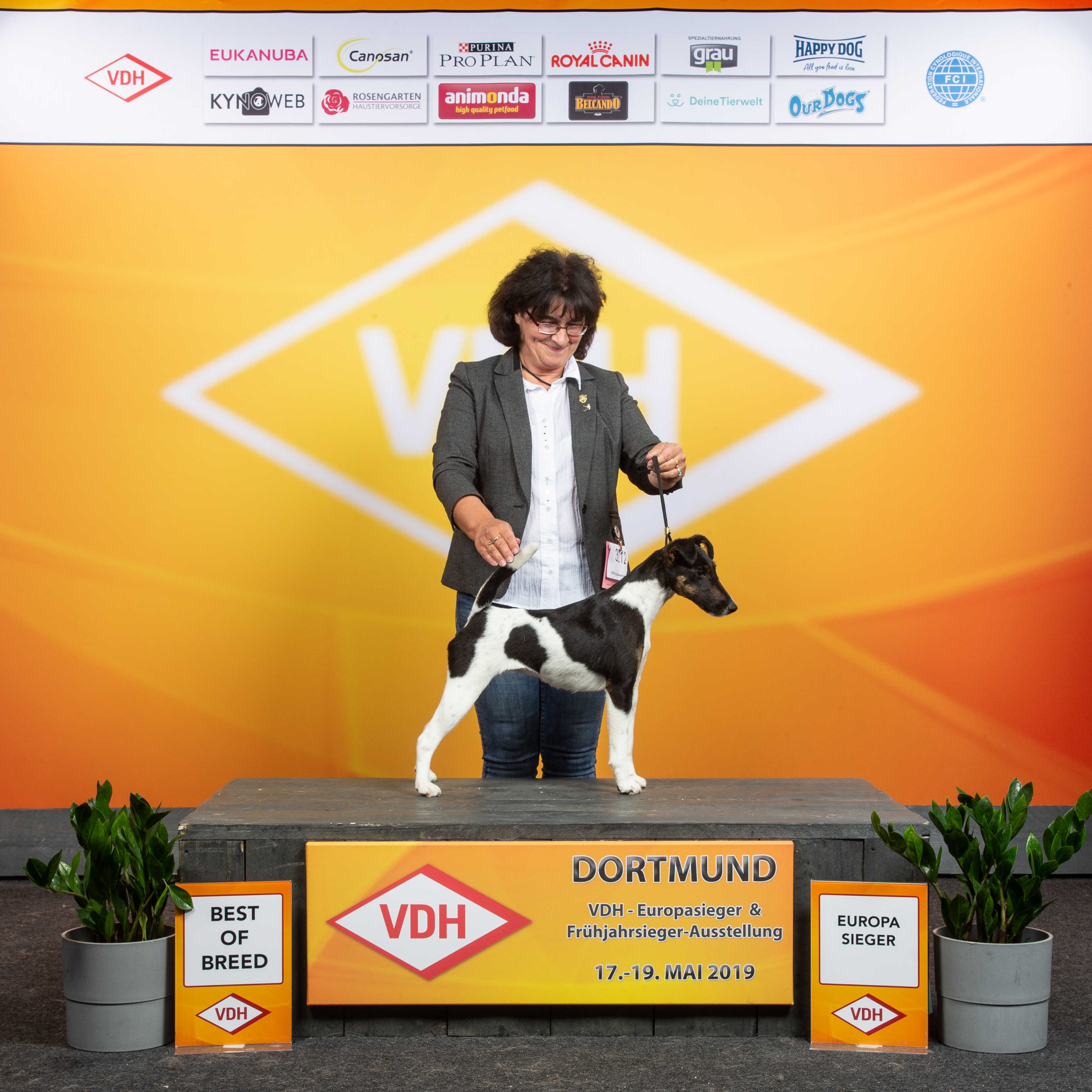 BEST_OF_BREED_3212_HR_EUROPA_SIEGER_2019_KYNOWEB_KY3_2770_20190519_15_37_03