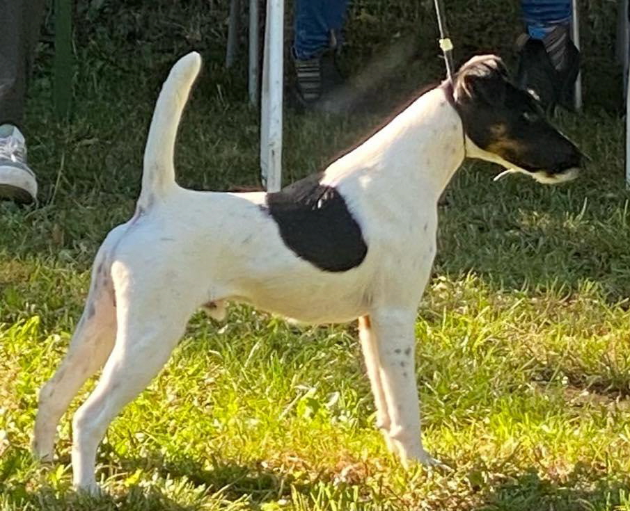 Black Magic BIS Blowatz 2024