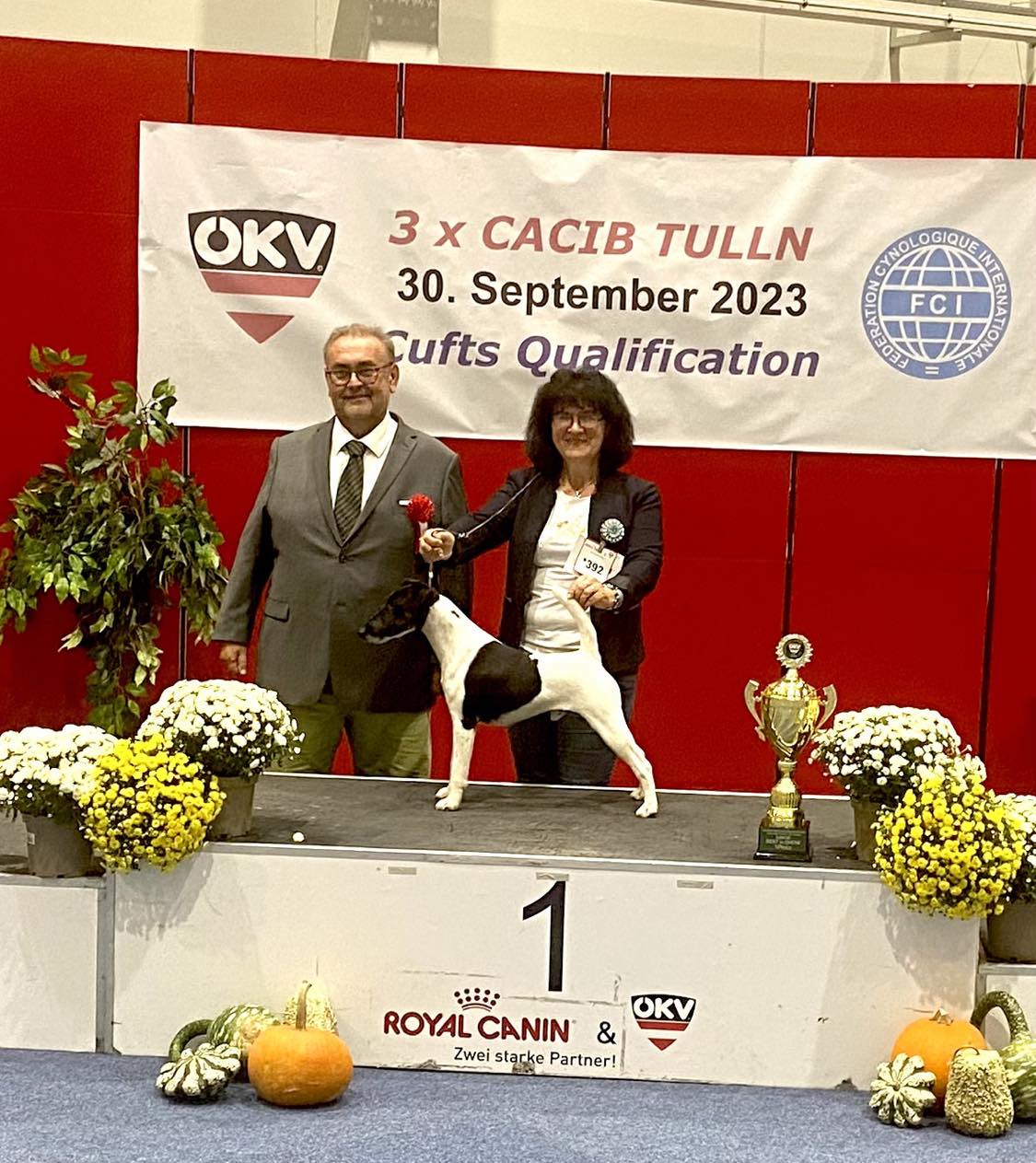 Black Magic Best Junior in Show - Tulln 2024