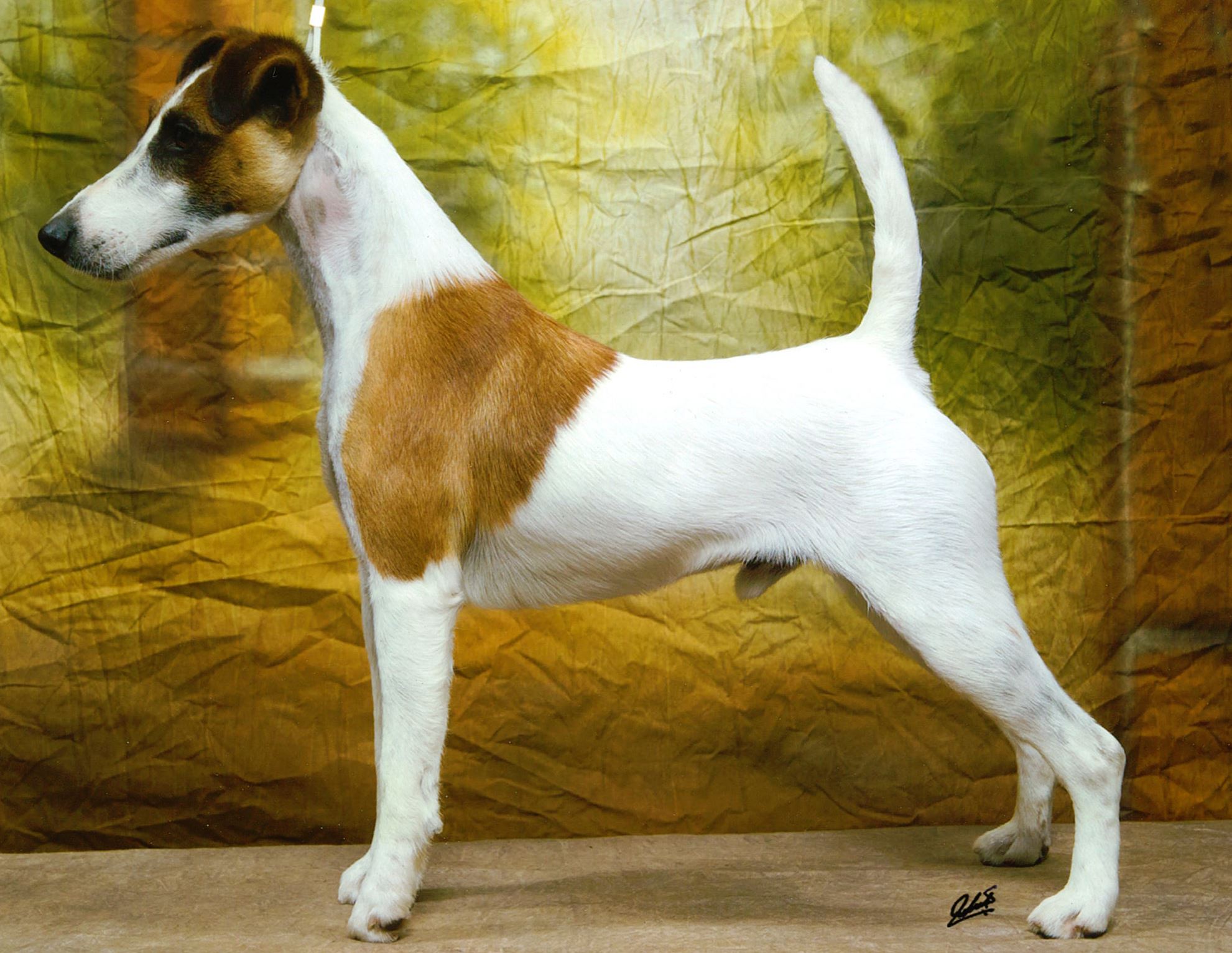 Firestone in Leipzig 2014