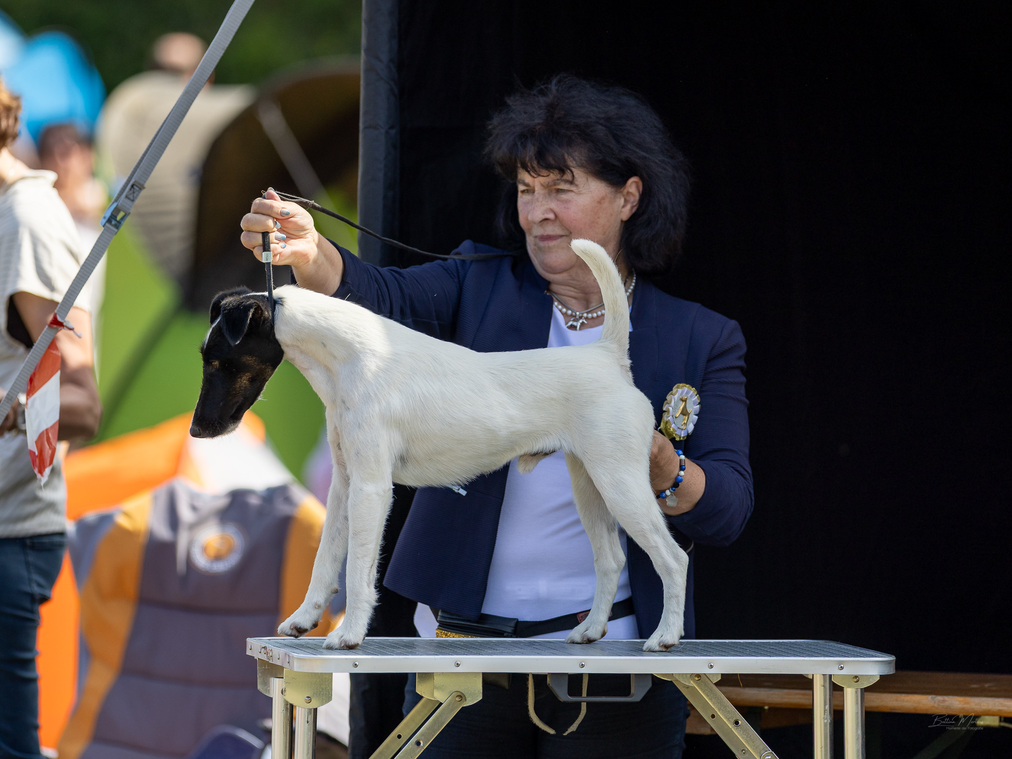 Gameboy in Gelsenkirchen