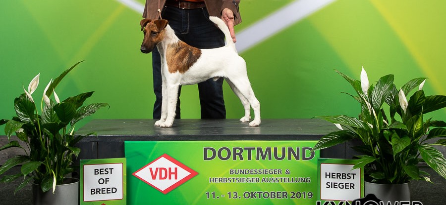 Parker BOB Dortmund Herbssieger 2019