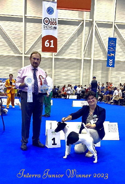 Black magic Interra Junior Winner 2023