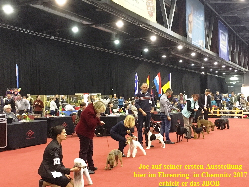 Chemnitz 2017 JBOB und BOS