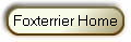 Foxterrier Home
