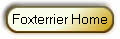 Foxterrier Home