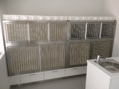 Katzenstation St. Augustin-1