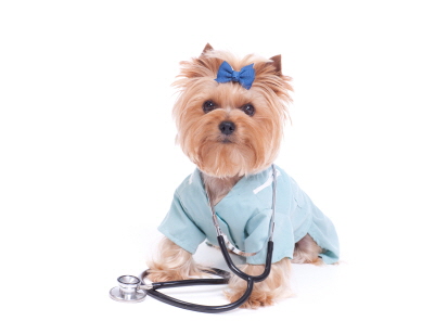 iStock_000021756702XSmall